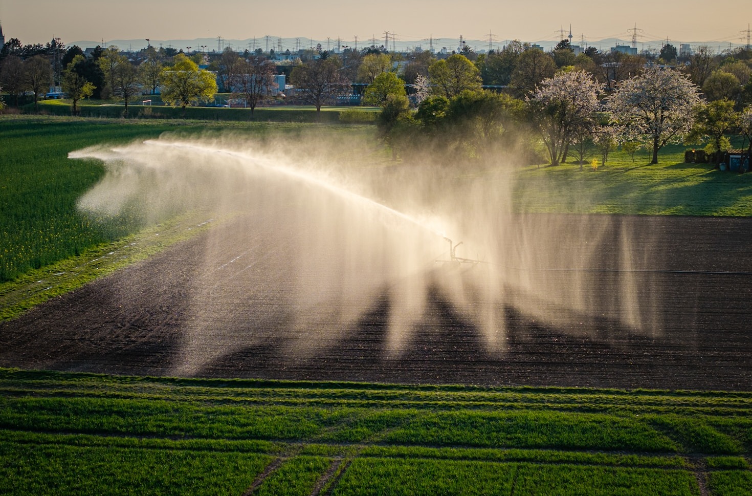 Beneficios del Net-Billing para agricultores chilenos